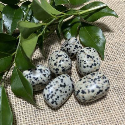 Dalmation Jasper
