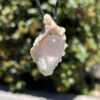 rose quartz shell necklace