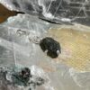 this is magnificent moldavite with herkimer diamond silver pendant thecrystalcave.com.au