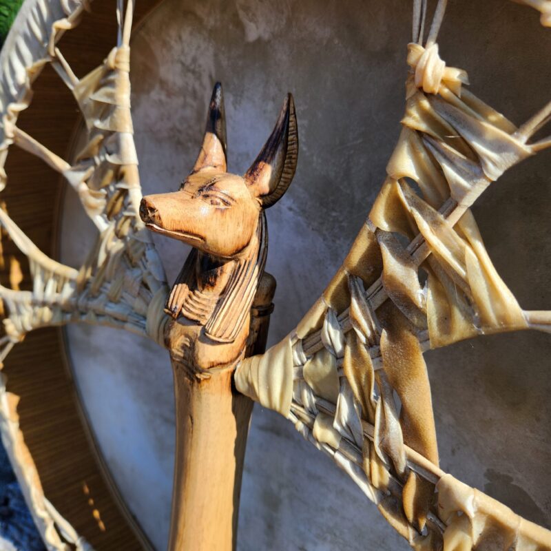 Close-up rear view of a 50cm round Goats hide drum with a beautifully hand-carved Anubis head handle. Egyptian energy power drum.