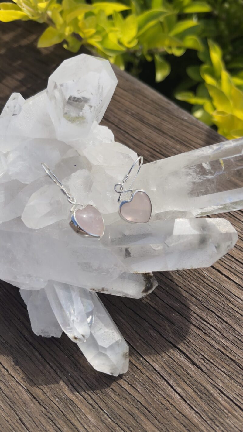 Rose quartz earrings set in sterling silver