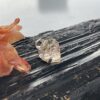 Super Clear Herkimer Diamond Silver Pendant (5.39g)