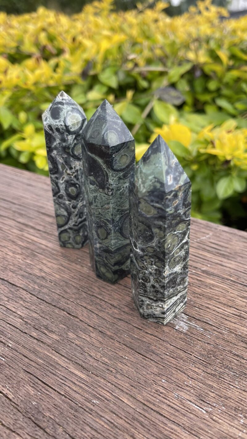 “Stone of Ancient Stillness” – Kambaba Jasper Generator