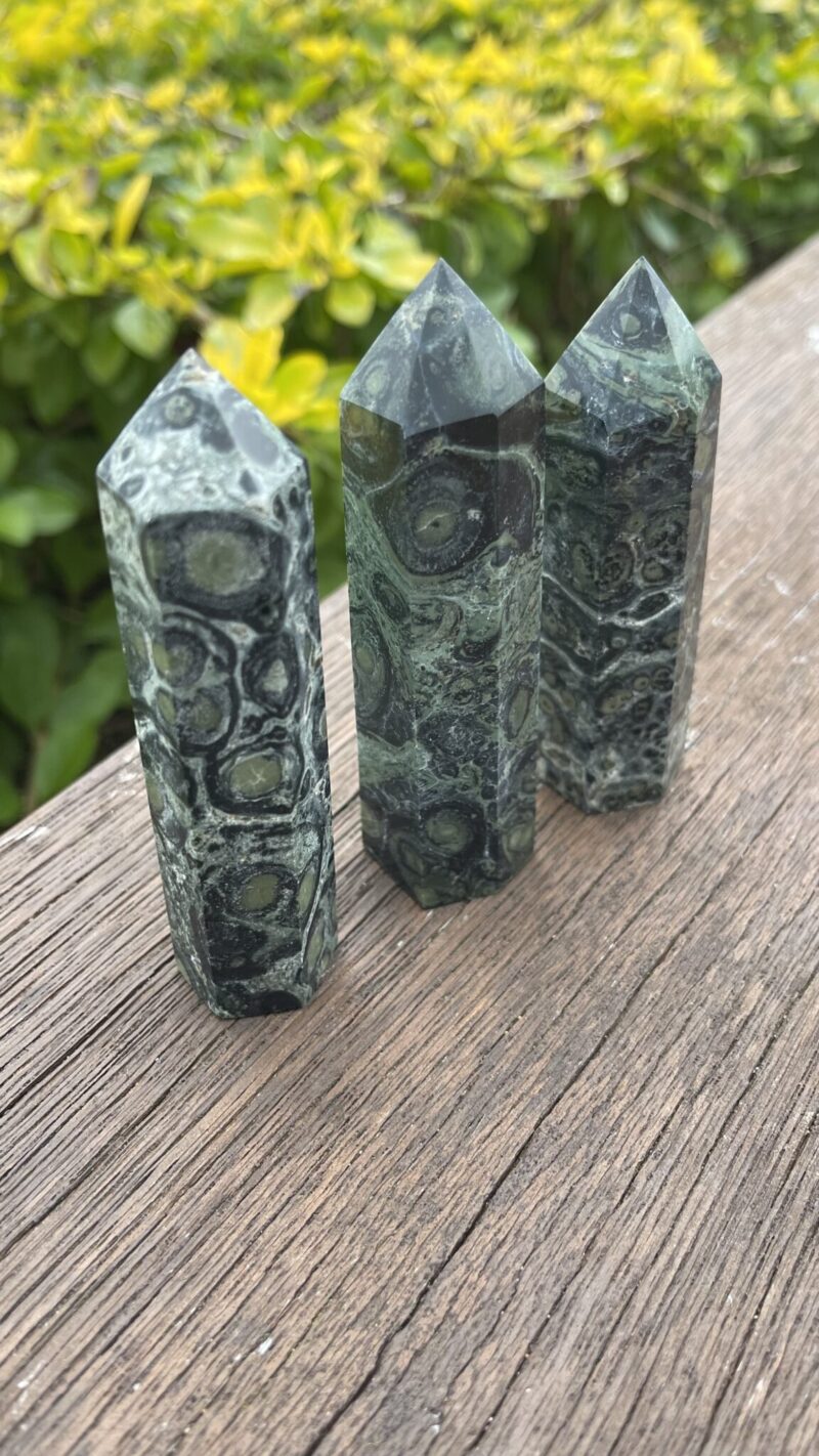 “Stone of Ancient Stillness” – Kambaba Jasper Generator