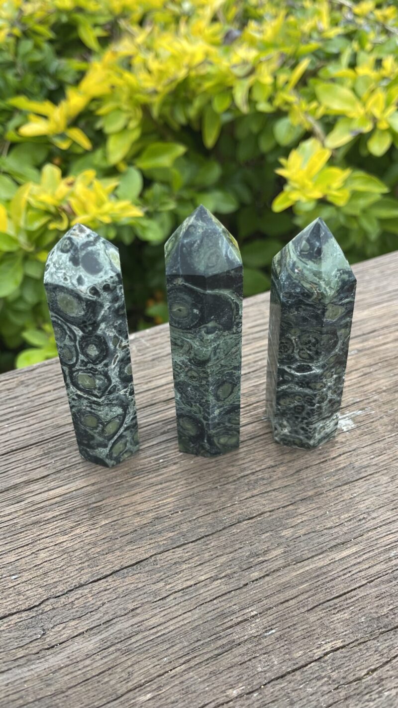 “Stone of Ancient Stillness” – Kambaba Jasper Generator