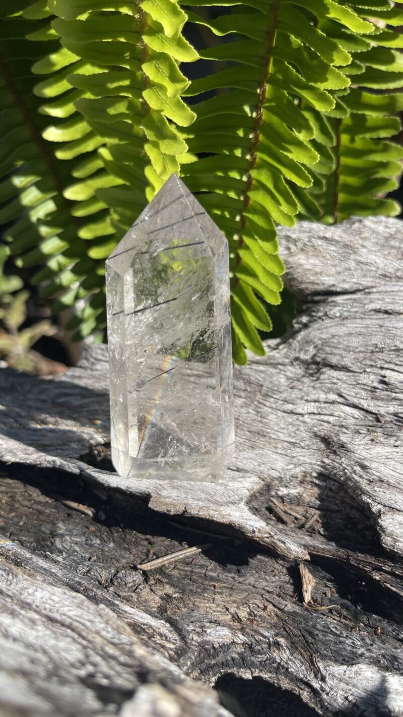 “Clarity Shield” – Black Tourmalinated Quartz Generator  