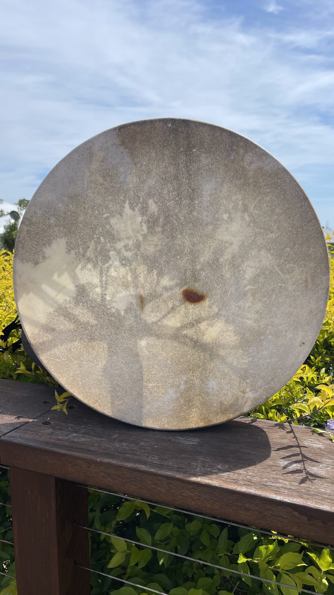 Wings of the Dragon – Ceremonial Shamanic Drum