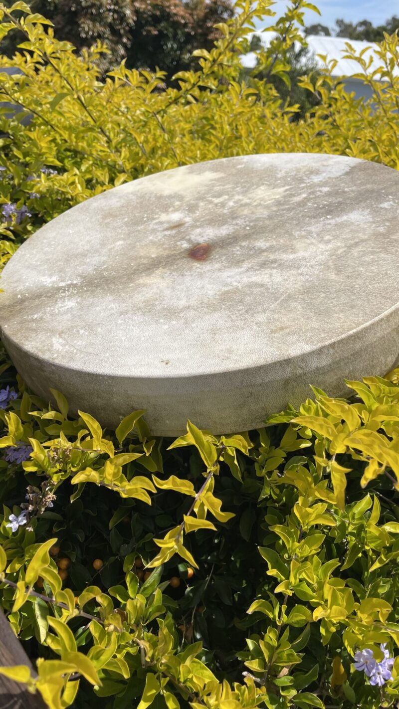 Wings of the Dragon – Ceremonial Shamanic Drum