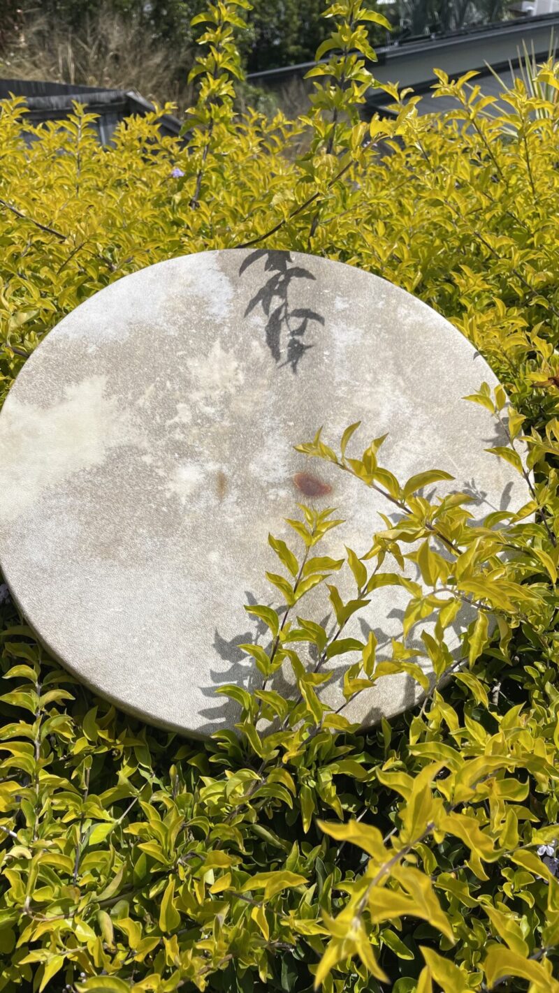 Wings of the Dragon – Ceremonial Shamanic Drum